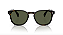 OLIVER PEOPLES OV5298SU 167752 FINLEY ESQ.SUN 53 - ÓCULOS DE SOL - Imagem 3