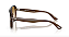 OLIVER PEOPLES OV5581U 1625 54 PAUL NEWMAN - ÓCULOS DE SOL - Imagem 3