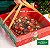 10 Caixa Guirlanda com Base Laminada Noel 3683 (JANGO NATAL 2023) 3552+2981 - Imagem 1