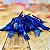 Kit Festa 50 PESSOAS DESCARTAVEIS AZUL PETRÓLEO PEROLADO GARFO + PRATO + COPO - Imagem 5