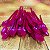 Kit Festa 50 PESSOAS DESCARTAVEIS FUCSIA PEROLADO GARFO + PRATO + COPO - Imagem 4