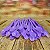 Kit Festa 50 PESSOAS DESCARTAVEIS LAVANDA CANDY COLORS PEROLADO GARFO + PRATO + COPO - Imagem 5