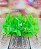 Kit Festa 50 PESSOAS DESCARTAVEIS VERDE CLARO NEON GARFO + PRATO + COPO - Imagem 4
