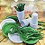 Kit Festa 50 PESSOAS DESCARTAVEIS  GARFO + PRATO + COPO VERDE E BRANCO - Imagem 1