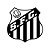 50 PORTA FORMINHA SANTOS FUTEBOL Regina PT110 - Imagem 3