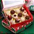 10 Caixa para 12 ou 20 Doces com visor + berço 12 doces Noite Feliz 4495 (JANGO NATAL 2024) - Imagem 1