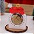 10 Embalagem Lembrancinha bolinha Noel 4480 (JANGO NATAL 2024) - Imagem 1