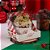 10 Caixa para Mini Panetone 100g com Tampa de Acetato Bom Velhinho 4268 (JANGO NATAL 2024) - Imagem 2