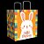 05 SACOLAS - 24X17X26 CM - PASCOA DIVERTIDA  5371 (PÁSCOA IDEIA 2025) - Imagem 2