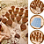 Forma PARA CHOCOLATE CONE simples sp Cod-3683 ( BWB SP SIMPLES ) - Imagem 1