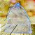 10 Saco de Organza GRANDE P/ Presente PRATA 20 x 30 cm (Ex) - Imagem 1