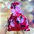 40 SACOLINHA MINNIE LOVE SURPRESA  20x29 CROMUS - Imagem 5