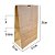 100 SACO  DELIVERY KRAFT  SOS LISO 5 KG -  A28 X L9,5 X C17,5 CM (P) - Imagem 3