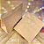 100 SACO  DELIVERY KRAFT  SOS LISO 25 KG - A37 X L18 X C30 CM (EXTRAGG) - Imagem 1