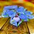 50 PORTA FORMINHA OS SMURFS REGINA - Imagem 5