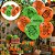 25 BALÃO BEXIGA FESTA CHAVES n°9 (FESTCOLOR) - Imagem 3
