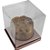 5 CAIXAS PANETONE 500G TAMPA DE ACETATO ROSE GOLD 16X16X16 2816 ( IDEIA NATAL OUTLET ) - Imagem 2