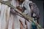 Sideshow Shieve: The Pathfinder Premium Format Court of the Dead - Imagem 2