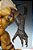 Sideshow Sabretooth Premium Format - Imagem 5