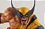 Resinworx Wolverine on Ninjas Custom - Imagem 3