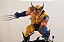 Resinworx Wolverine on Ninjas Custom - Imagem 5