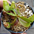Exótica Planta Carnivora cor Vinho NEPENTHE VENTRATA (Estaca brotada)  (Kit 6) - Imagem 6