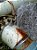Composto de Reparo de Emergência - Super E-Metal – FN10020 - 250g - Belzona 1221 - Imagem 2
