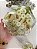 MODELO HEXAGONAL P - Imagem 6