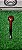 Cachimbo Antigo - Wilder Finamore "usado" - Imagem 4