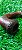 Cachimbo FULL BENT - MB - Imagem 4