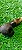 Cachimbo Chubby Rusticado - MB - Imagem 2