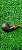 Cachimbo Chubby Rusticado - MB - Imagem 1