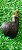 Cachimbo Chubby Rusticado - MB - Imagem 3