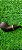 Cachimbo Chubby Rusticado - MB - Imagem 1