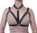 Harness bra gloria - Imagem 1