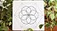 Mandala Semente da Vida – Placa de PVC - Imagem 2
