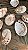 Abalone - Imagem 3
