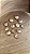 Shiva Shell Bruta - Imagem 3