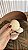 Tigerina Shell - Imagem 1