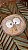 Conjunto Folheado a Ouro - Abalone - Imagem 2