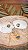 Conjunto Folheado a Ouro - Abalone - Imagem 1