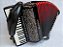 Acordeon 120 baixos Piatanesi Dupla Res. "Eletrificada" - Imagem 1