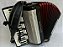 Acordeon 120 Baixos Dallapé Duplo Ressonância - Imagem 1