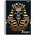 Caderno Univ 10 Materias Cd Sinistro 160Fls Bom D+ - Imagem 3