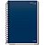 CADERNO UNIV 1 MATERIA CD ESSENCIALE 80FLS CREDEAL - Imagem 2
