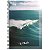 Caderno 1/4 Cd X-Photo 96Fls Maxima - Imagem 1