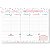 PLANNER PERMANENTE 27X20 SEMANAL DETALHES C/53 FLS SAO DOMINGOS - Imagem 1