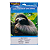 MP-PAPEL FOTO GLOSSY AUTO ADESIVO 115G/M² A4 C/50 FOLHAS MASTERPRINT - Imagem 1