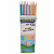 LAPIS DE COR 10 CORES TONS PASTEL RESINA MP-713 MASTERPRINT - Imagem 1