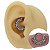 Piercing Argola Clicker em Titânio OMG! - Imagem 1